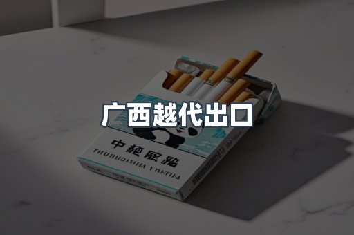 广西越代出口